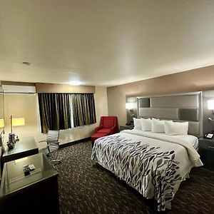 Superior  King Room Disability Access
